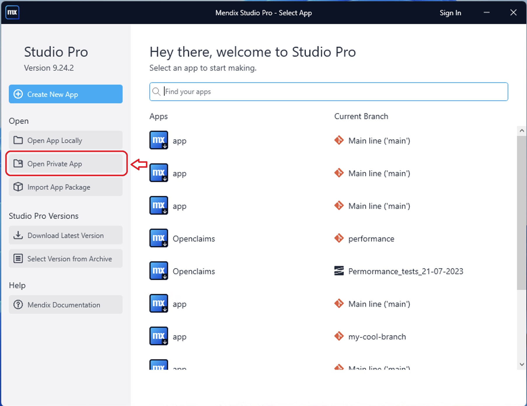 Open Private App button in Mendix Studio Pro